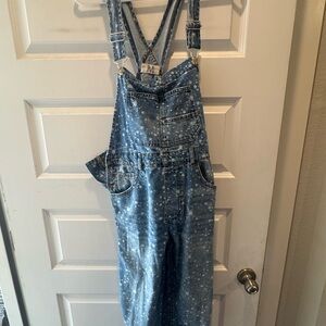 We The Free Starry Blue Denim Overalls